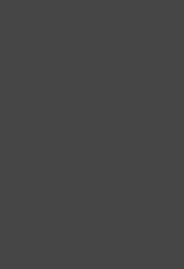 СТЕНОВЫЕ ПАНЕЛИ HPL Графит 1020/6